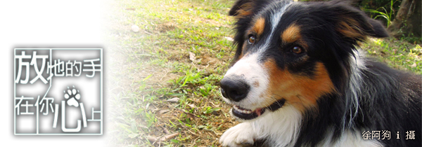 放牠的手在你心上